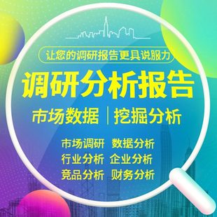 市场调研报告可行性研究代分析方案行业研报统计调查财务报表ppt