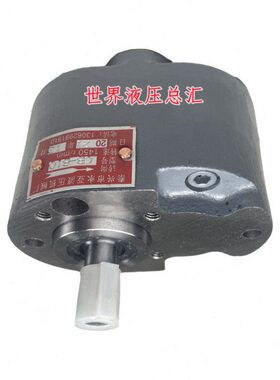 CB-B10/B6/B16/B20/B25/B32/B40/B50/B80/B63/125F齿轮油泵小型TH