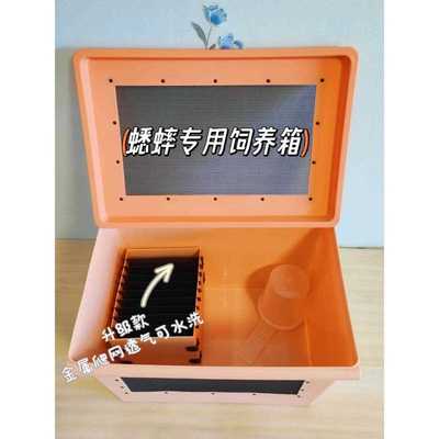 蟋蟀蟑螂杜比亚饲养箱白蟋蟀养殖盒针头蟋蟀饲养箱油葫芦蛐蛐