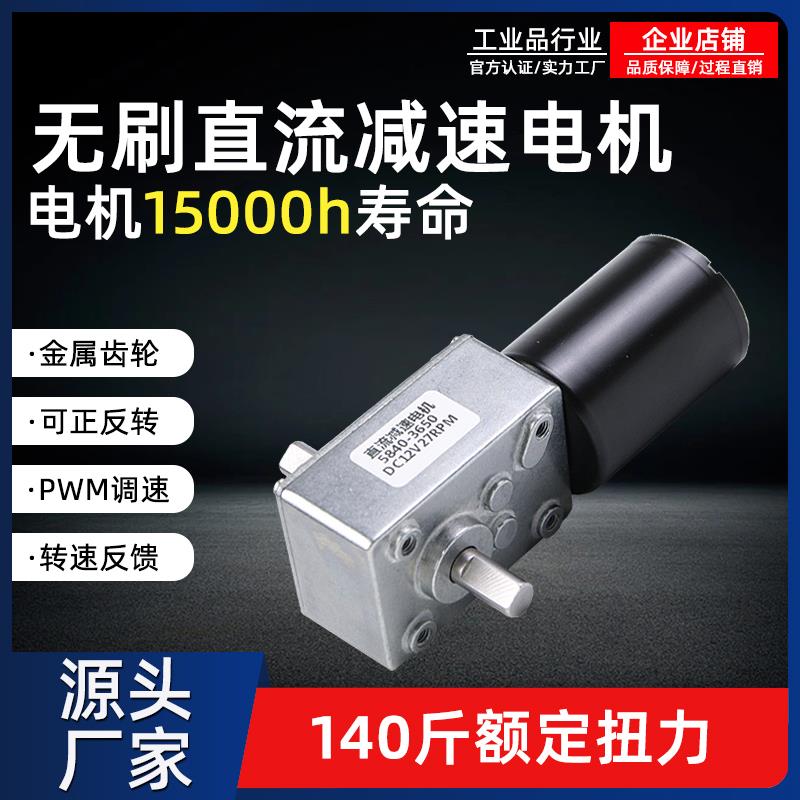 直流无刷减速电机12伏24v蜗轮蜗杆双轴5840-3650微型可调速小马达