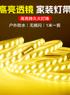 led灯带220v180珠透镜户外工程亮化防水超亮暖光工地氛围彩灯带条