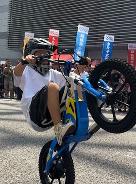 Hus儿童电动竞技车小型电竞车小轻蜂电动车大轮版16寸适合5到10岁