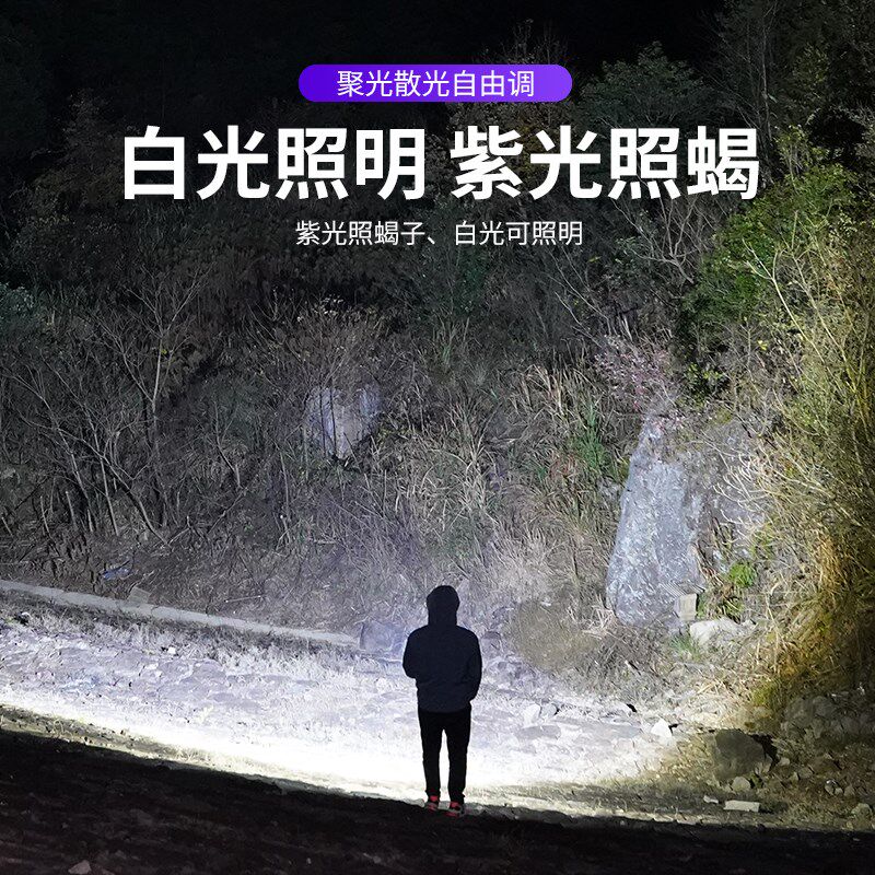 银诺照蝎子专用灯强光手电筒充电大功率超亮紫光超长续航手提灯