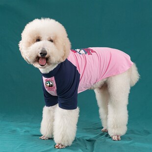 卡通狗狗衣服中大型犬打底衫春秋薄款防掉毛拉布拉多萨摩巨贵衣服
