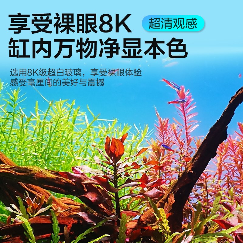 金晶五线超白玻璃鱼缸定制定做生态溪流缸大中小型客厅乌龟缸裸缸