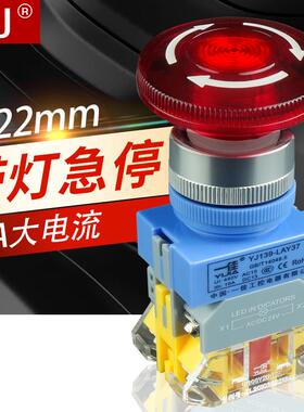22mm急停按钮 带灯24/220V 紧急停止 故障停止 电源按钮开关LAY37