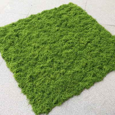 仿真白发藓丝状苔藓草坪仿真羊毛藓假青苔景观布置草坪盆景盆栽铺