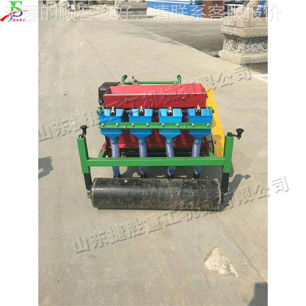 手推式油大蒜播种机小型汽农用 种蒜机 锥形旋导螺管蒜瓣种VVD植,农机/农具/农膜,播种栽苗器/地膜机,淘宝优惠券,粉丝福利购,淘宝优惠卷