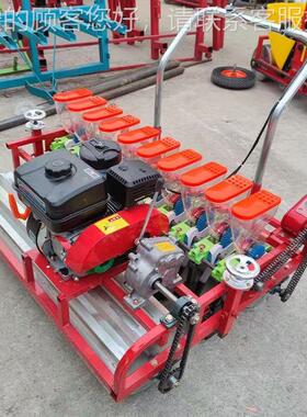升级版十行汽油QYQ种动力播机免间苗小粒种子精 播机种 施肥播一