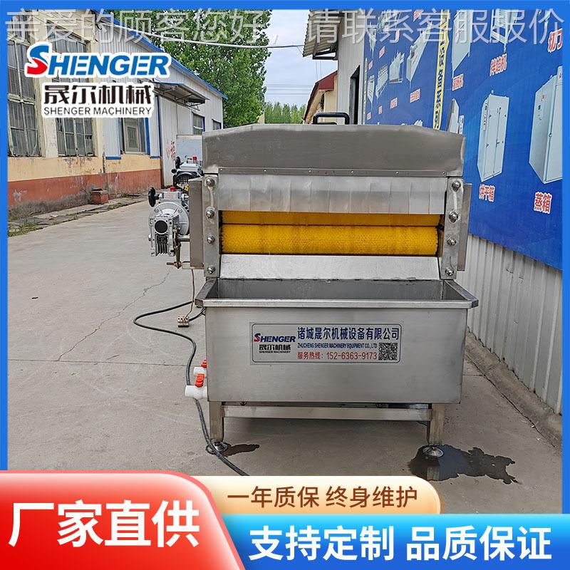 竹连续式粽叶清洗机 商用WOF芭蕉叶琵琶叶快清洗设 箬叶速备清洗