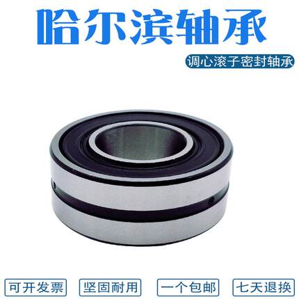 哈尔滨双面密封调心滚子轴承 BS2-23038 23040 23044 23048-2CS