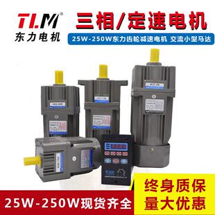 东力减速电机三相220V三相380V 减速马达微小型慢速电机 齿轮减速