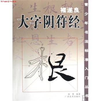 【正版书】 高等学校高职高专艺术设计类专业教学指导委员会“十二五”规划教材:图案与装饰基础 李文跃,刘莎 著,林家阳 编 中国出