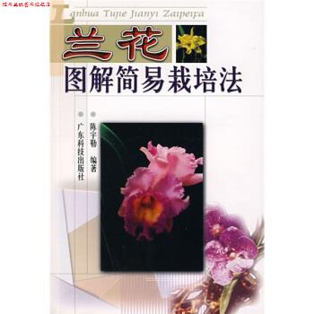 【正版书】 兰花图解简易栽培法 陈宇勒 著 广东科技出版社