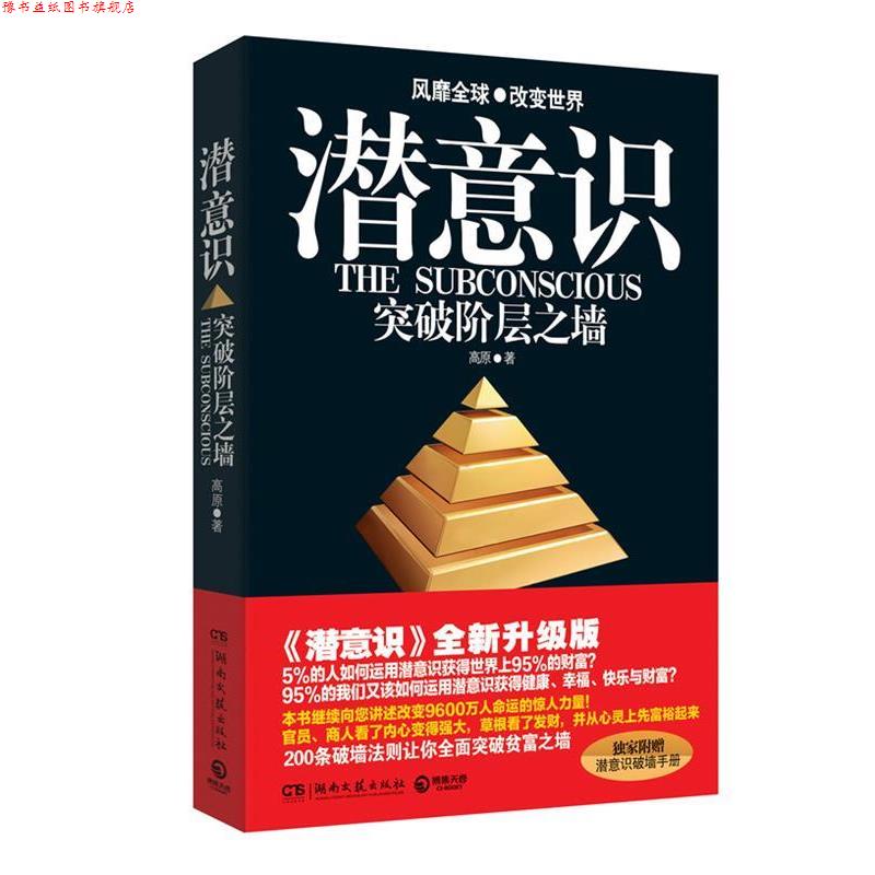 【正版书】 潜意识 高原 著 湖南文艺出版社