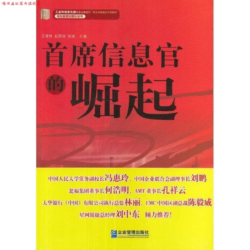 【正版书】 首席信息官的崛起 王建伟,赵国俊,张斌 编 企业管理出版社