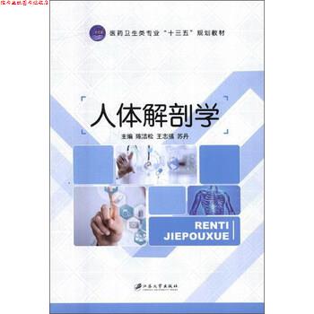 【正版书】 人体解剖学 陈洁松,王志强,苏丹 编 江苏大学出版社