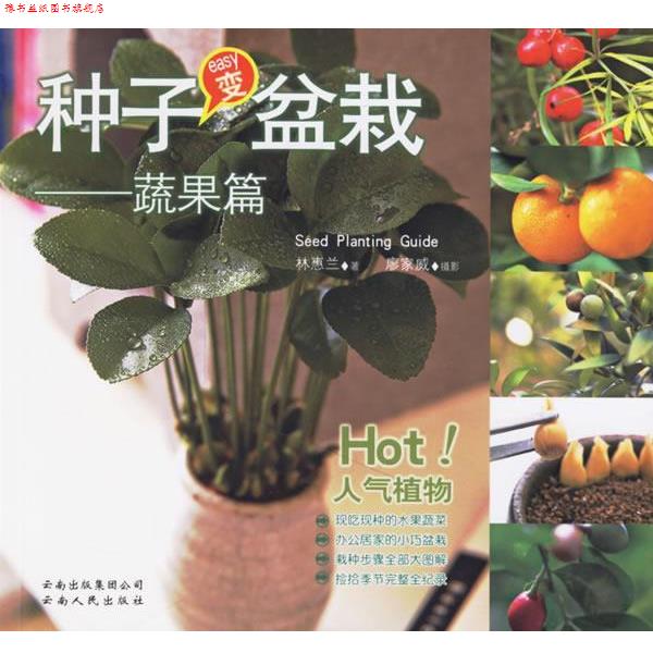 【正版书】 种子变盆栽:蔬果篇 林惠兰 著 云南人民出版社