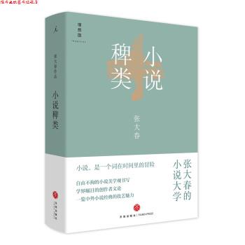 【正版书】 小说稗类 张大春 著 天地出版社