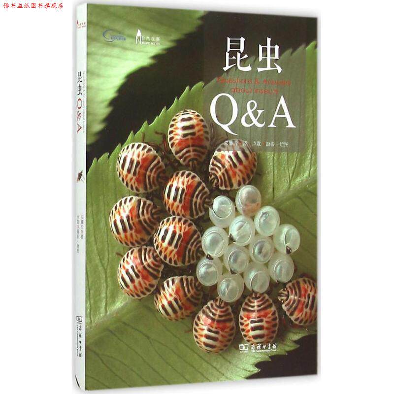 【正版书】 昆虫Q&A 朱耀沂 著,卢耽 摄影,绘图 商务印书馆
