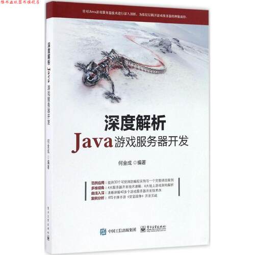【正版书】 深度解析Java游戏服务器开发 何金成 著 电子工业出版社