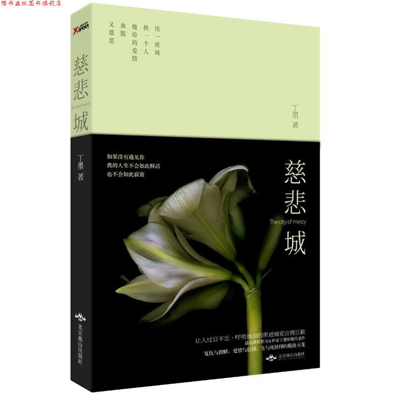 【正版书】 慈悲城 丁墨 北京燕山出版社