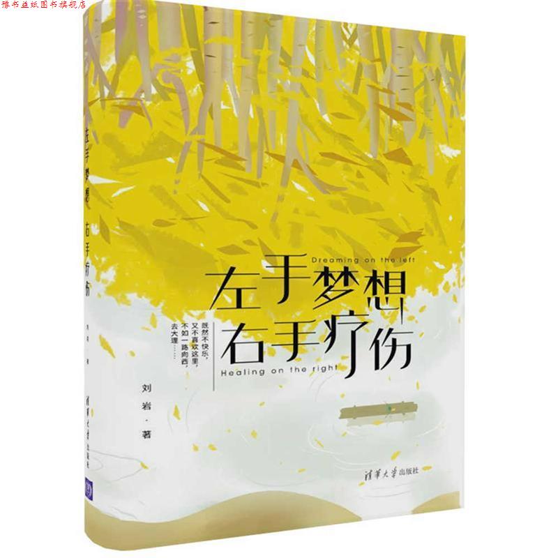 【正版书】 左手梦想，右手疗伤 刘岩 清华大学出版社