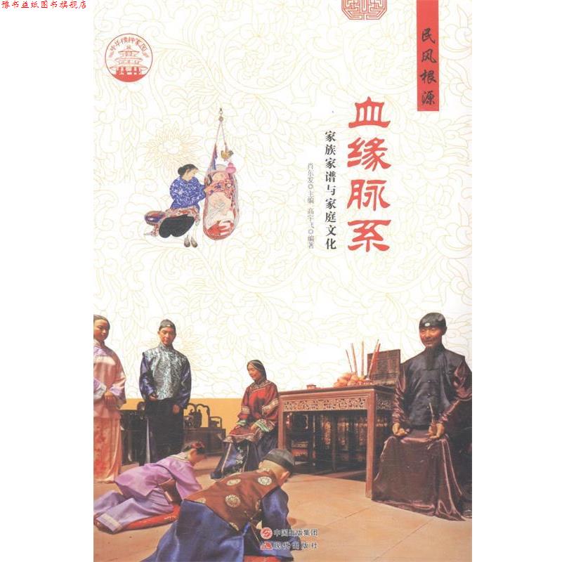 【正版书】 中华精神家园 民风根源:血缘脉系 家族家谱与家庭文化 高宇飞 著,肖东发 编 现代出版社