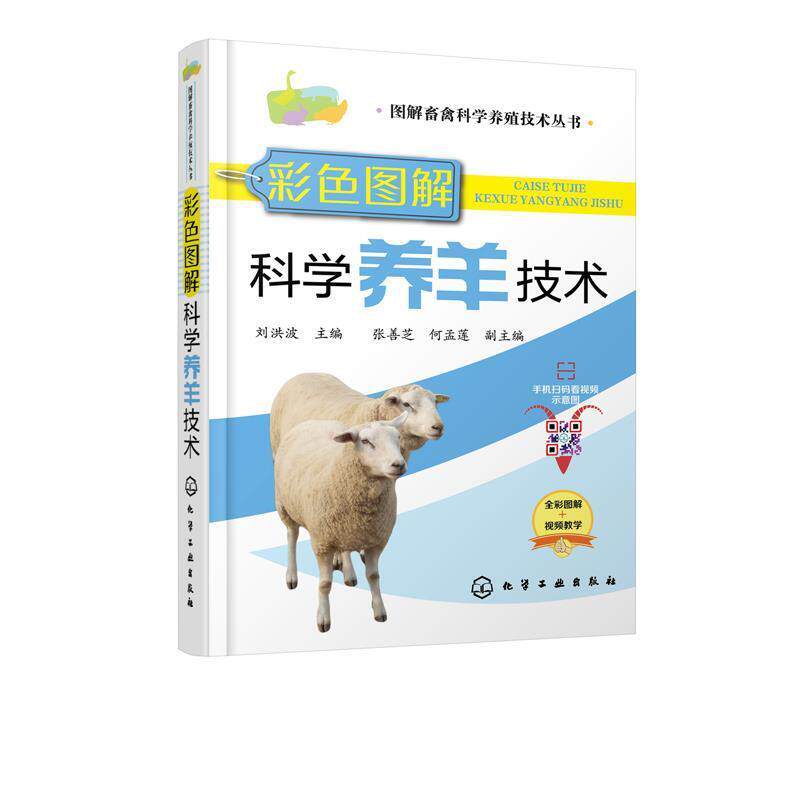 【正版书】 彩色图解科学养羊技术 刘洪波 著 化学工业出版社有限公司