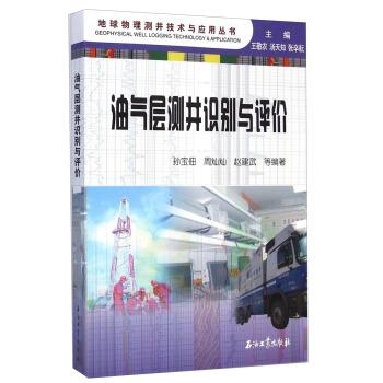 【正版书】 油气层测井识别与评价 孙宝佃,周灿灿,赵建武 等 著,王敬农,汤天知,张辛 石油工业出版社