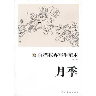 【正版书】 白描花卉写生范本·月季 马鸣绘 人民美术出版社
