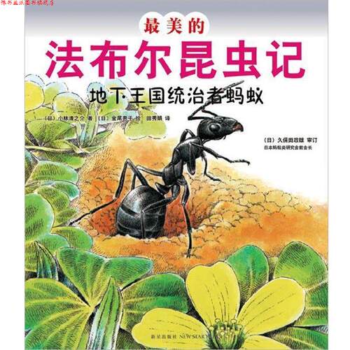 【正版书】 的法布尔昆虫记:地下王国统治者蚂蚁 (日)小林清之介　著,(日)金属惠子　绘,田秀娟　译 新星出版社