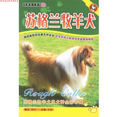 【正版书】 苏格兰牧羊犬 王晓 主编 德宏民族出版社