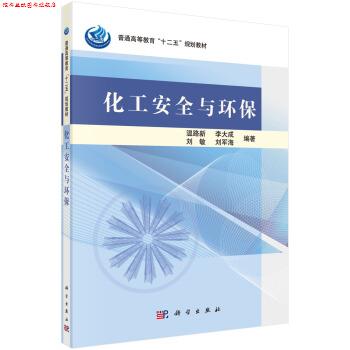 【正版书】 化工安全与环保 温路新,李大成,刘敏 等 著 科学出版社