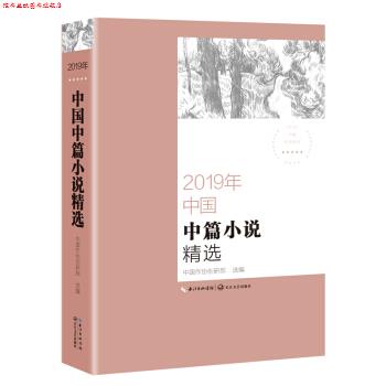【正版书】 2019年中国中篇小说精选 中国作协创研部 编 长江文艺出版社