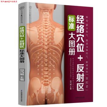 【正版书】 经络穴位+反射区标准大图册 张一帆 江苏凤凰科学技术出版社