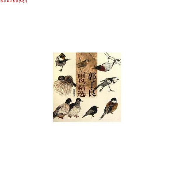 【正版书】 郭子良画鸟精选 郭子良 福建美术出版社