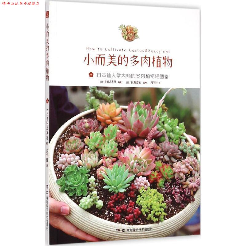 【正版书】 小而美的多肉植物 (日)主妇之友社 编著,(日)羽兼直行 监修 湖南科技出版社