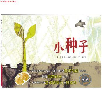 【正版书】 小种子 [荷] 维罗妮卡·鲍克 著,王林 译 天津人民美术出版社