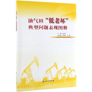 【正版书】 油气田“低老坏”典型问题表现图册 沈复孝 著 石油工业出版社