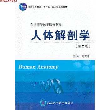 【正版书】 人体解剖学 高秀来 北京大学医学出版社