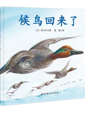 【正版书】 神奇的迁徙之旅·候鸟回来了 铃木守 著, 姜微 译 北京科学技术出版社