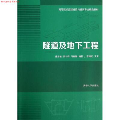 【正版书】 隧道及地下工程 陈志敏,欧尔峰,马丽娜 编著 清华大学出版社