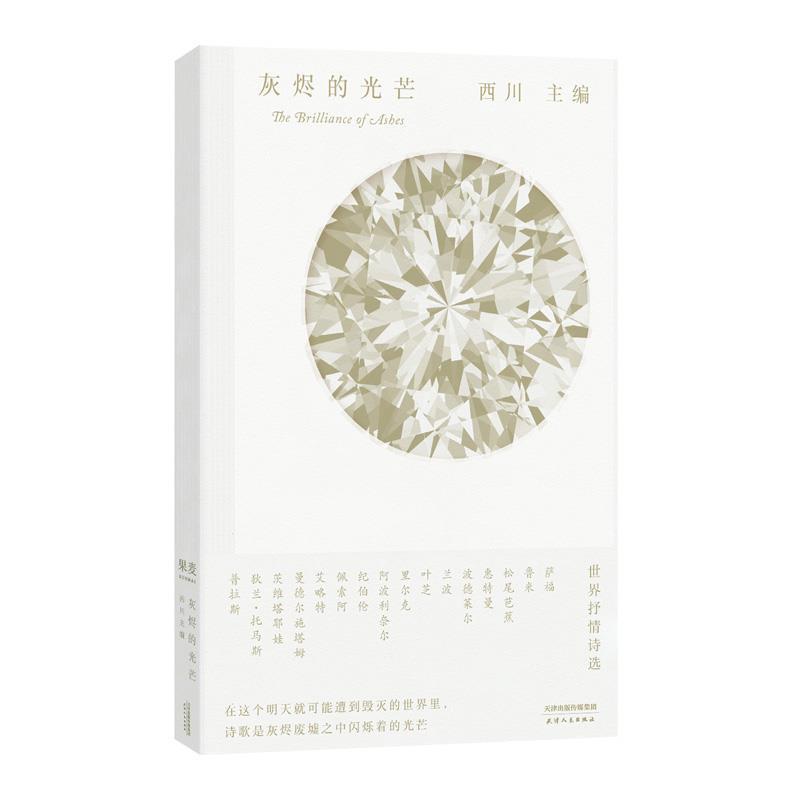 【正版书】 灰烬的光芒 果麦文化出品,西川 天津人民出版社