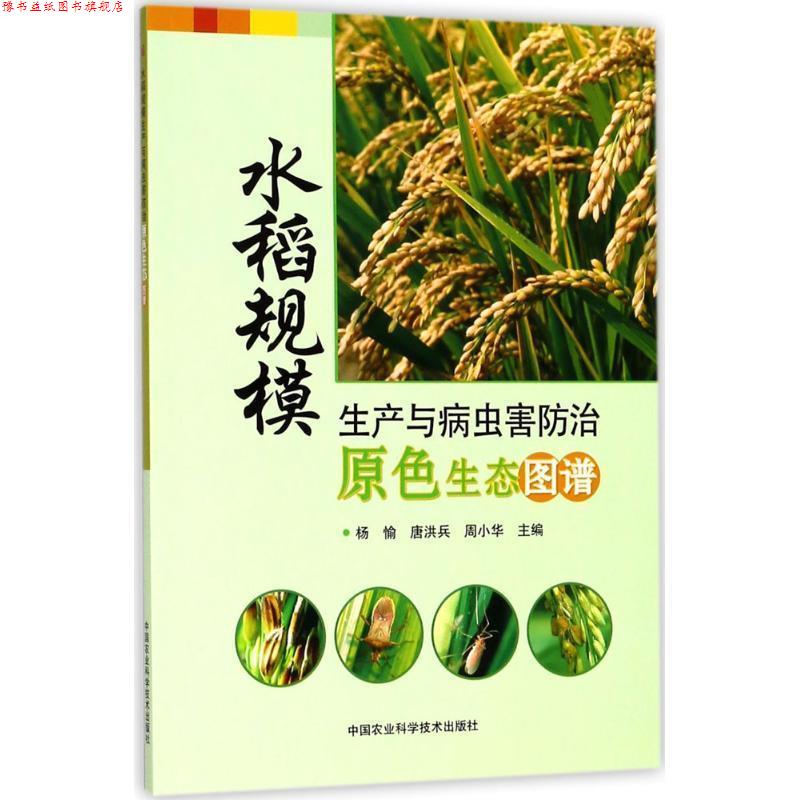 【正版书】 水稻规模生产与病虫害防治原色生态图谱 杨愉,唐洪兵,周小华 主编 中国农业科学技术出版社