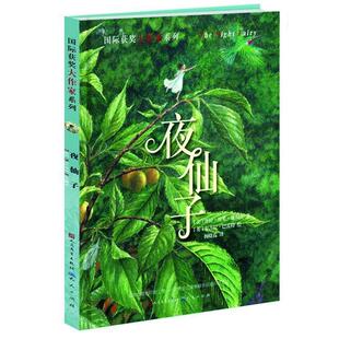 【正版书】 夜仙子 (美)施利茨 天天出版社有限责任公司