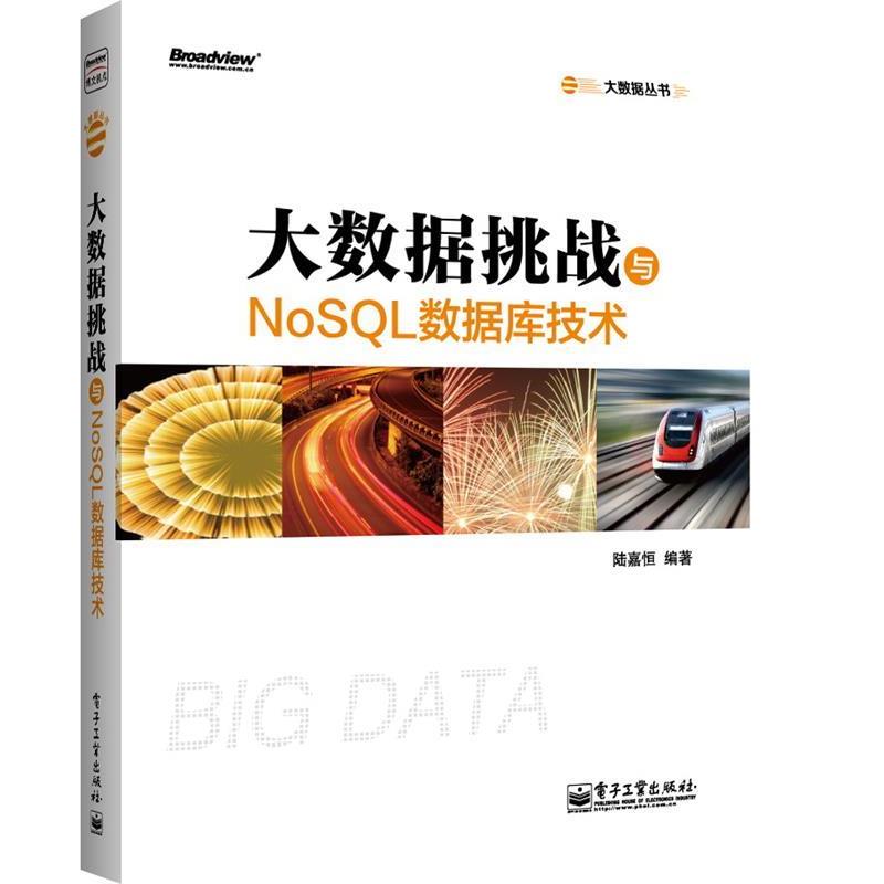 【正版书】 大数据挑战与NoSQL数据库技术 陆嘉恒编著 电子工业出版社