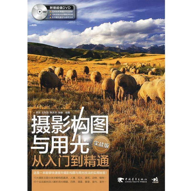 【正版书】 摄影构图与用光从入门到精通 李洁　等编著 中国青年出版社