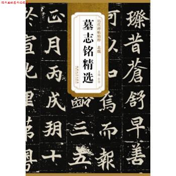 【正版书】 历代碑帖精粹·北魏墓志铭精选 杜浩 编 安徽美术出版社