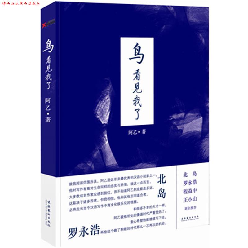 【正版书】 鸟看见我了 阿乙 著 文化艺术出版社
